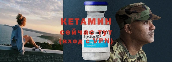 прущие грибы Няндома