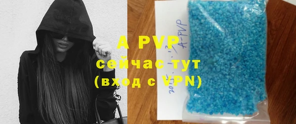 индика Покровск