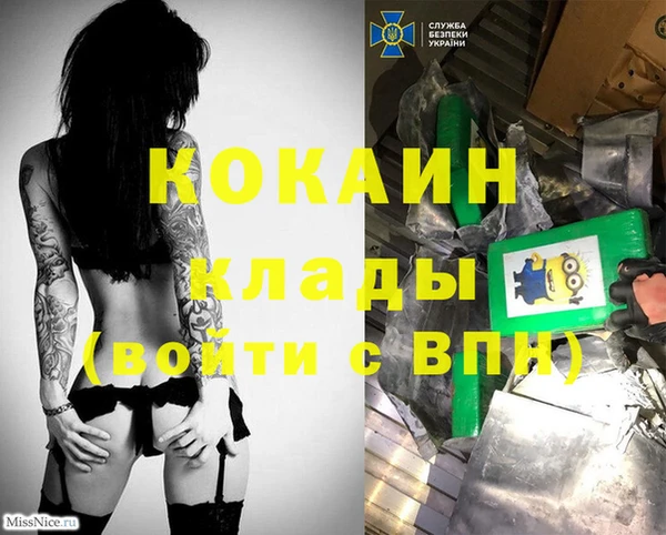 спиды Аркадак