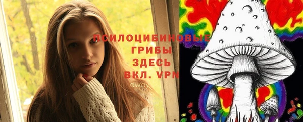спиды Аркадак