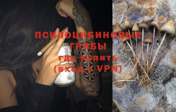 не бодяженный Арсеньев
